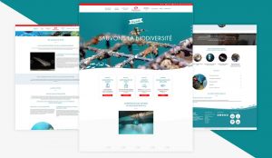 exemple site theme bridge